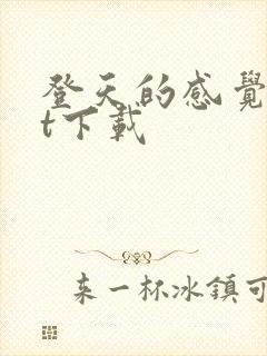 登天的感觉txt下载