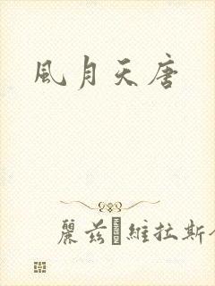风月天唐