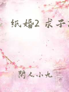 纸婚2 求子记