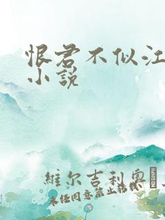 恨君不似江楼月小说