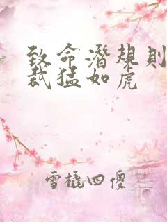 致命潜规则 总裁猛如虎