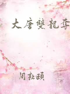 大唐双龙夺艳记