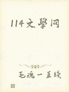114文学网
