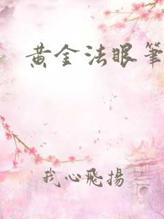 黄金法眼笔趣阁