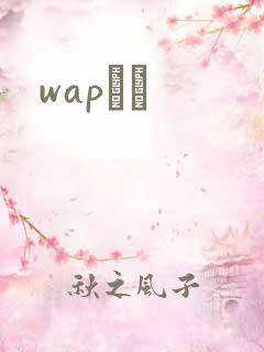 wapС˵