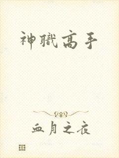 神职高手