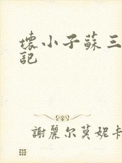 坏小子苏三风流记