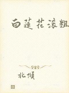白莲花滚粗