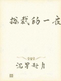 总裁的一夜情人