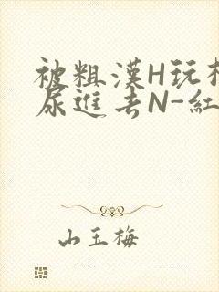 被粗汉H玩松了尿进去N-红-Q