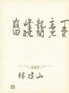 巅峰龙主丁长顺田晓兰免费阅读