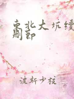 东北大坑续集未删节