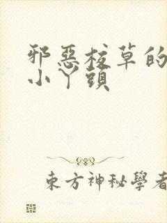 邪恶校草的拽拽小丫头