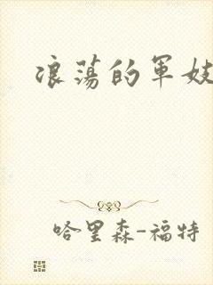浪荡的军妓h