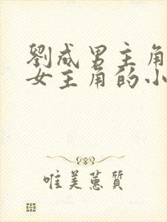 刘成男主角刘雪女主角的小说