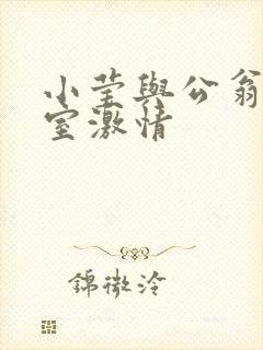 小莹与公翁办公室激情