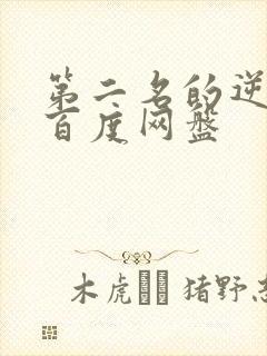 第二名的逆袭 百度网盘