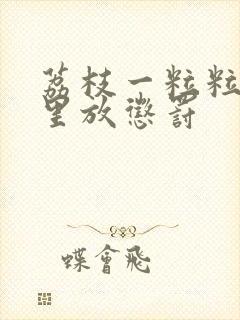 荔枝一粒粒的往里放惩罚