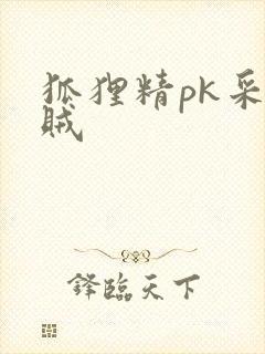 狐狸精pk采花贼