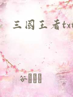 三国王者txt