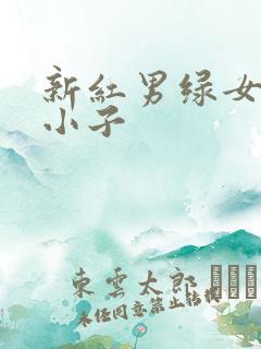 新红男绿女之坏小子