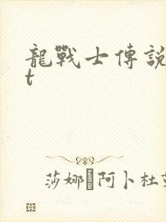 龙战士传说txt