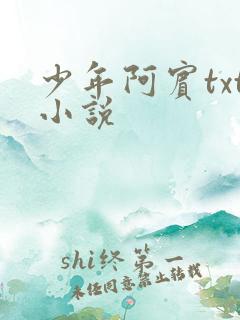 少年阿宾txt小说