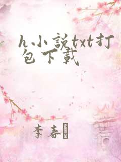 h小说txt打包下载