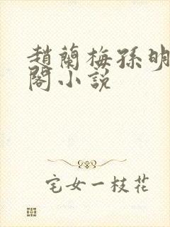 赵兰梅孙明笔趣阁小说