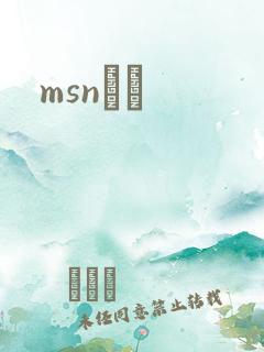 msnС˵