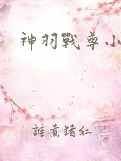 神羽战尊小说