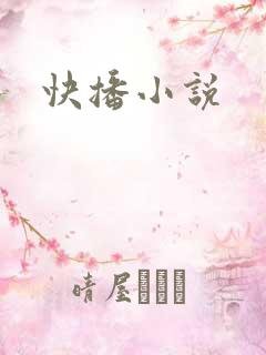 快播小说