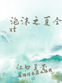 泡沫之夏全集txt