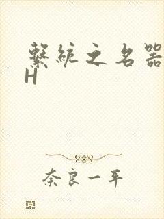 系统之名器勾男H