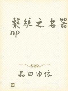 系统之名器攻略np