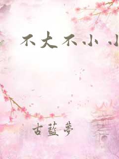 不大不小 小说