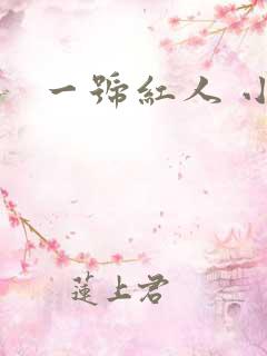 一号红人 小说