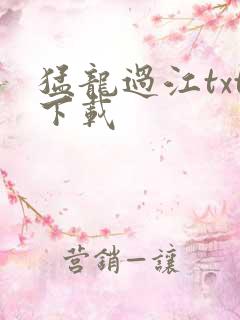 猛龙过江txt下载