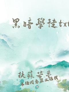 黑暗学徒txt