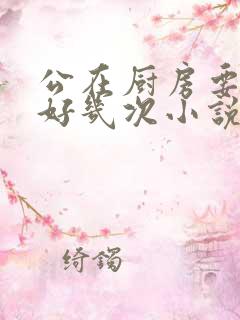 公在厨房要了我好几次小说
