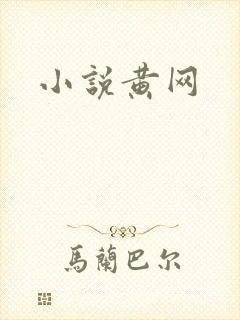小说黄网
