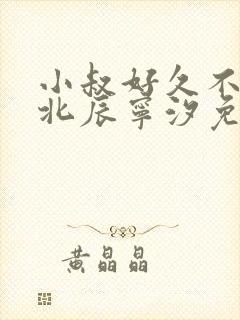 小叔好久不见顾北辰宁汐免费阅读