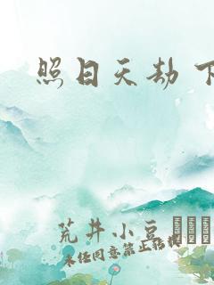 照日天劫 下载
