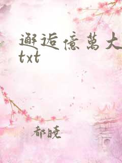 邂逅亿万大人物txt