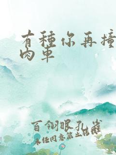 有种你再撞一下肉车