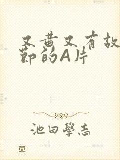 又黄又有故事情节的A片