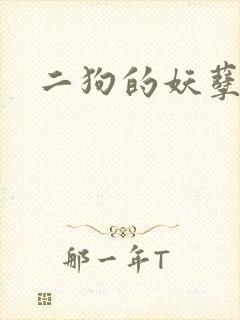 二狗的妖孽人生