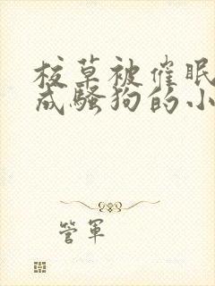 校草被催眠洗脑成骚狗的小说