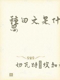 种田文是什么意思