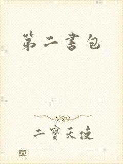 第二书包